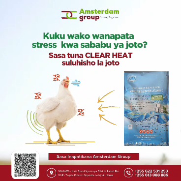 clear heat